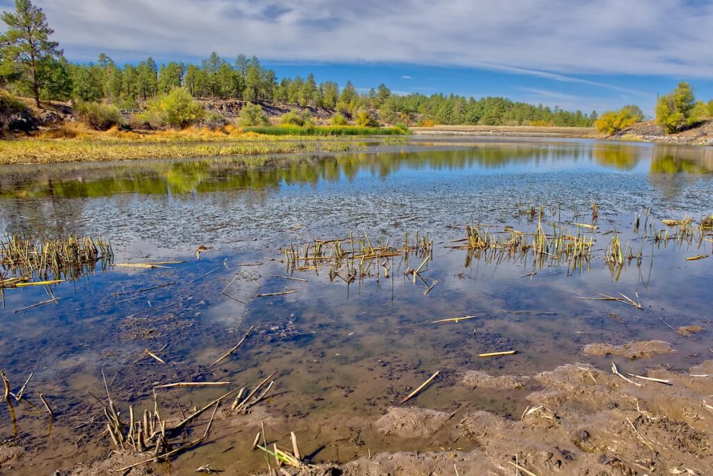 muddy water pond dredging