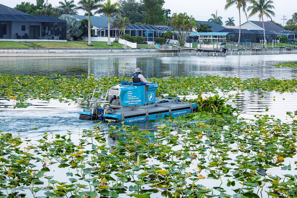 Pond Guru aquatic weed removal services