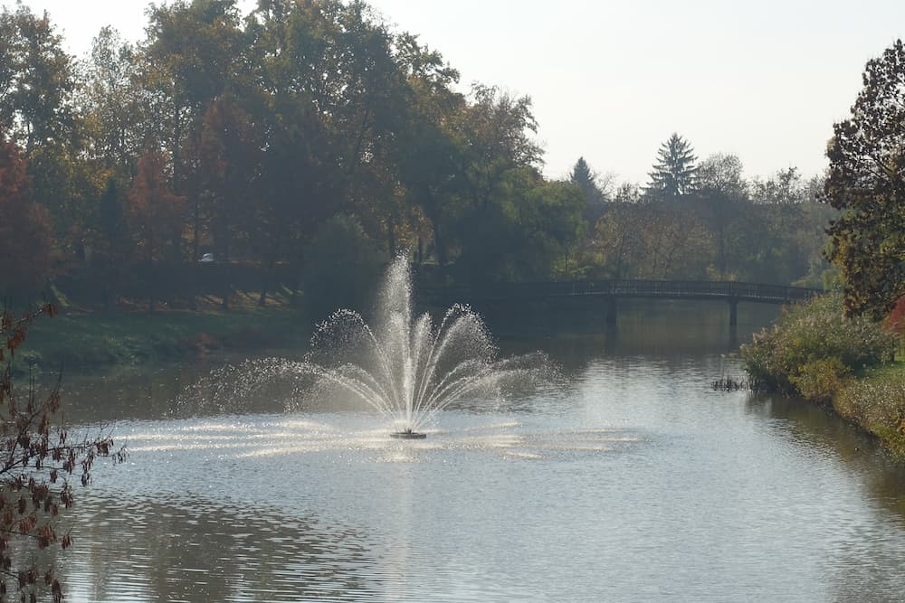 Pond Guru floating pond fountains