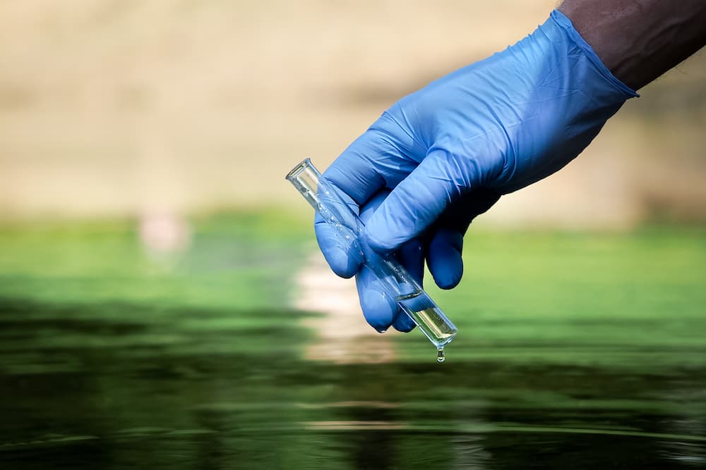 Pond Guru pond water testing services