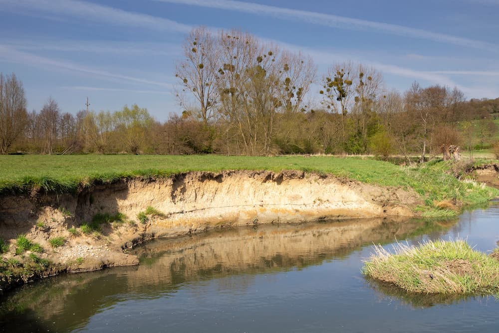 Pond Guru shoreline restoration services