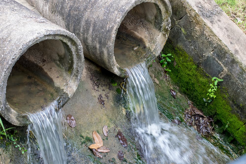 Pond Guru stormwater pond maintenance services