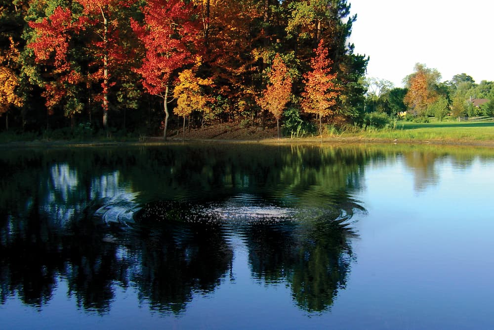 Pond Guru submersed pond aeration services