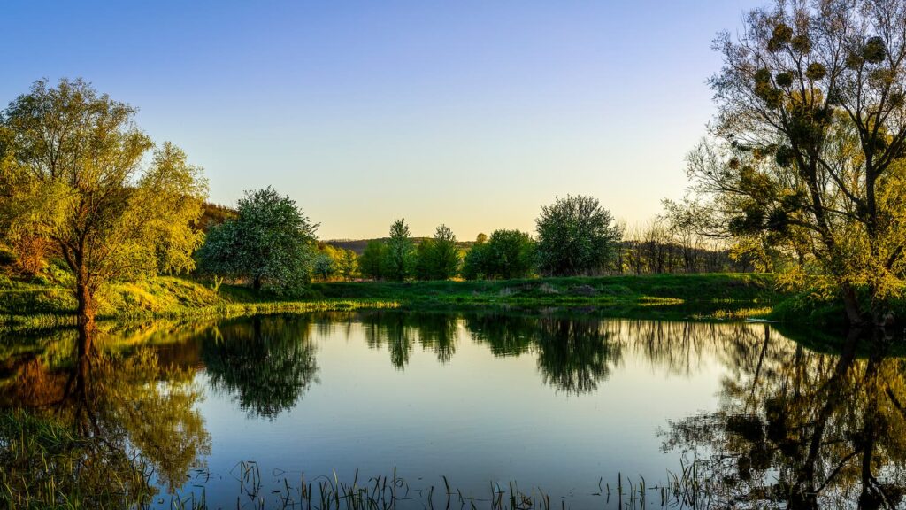 remove pond muck